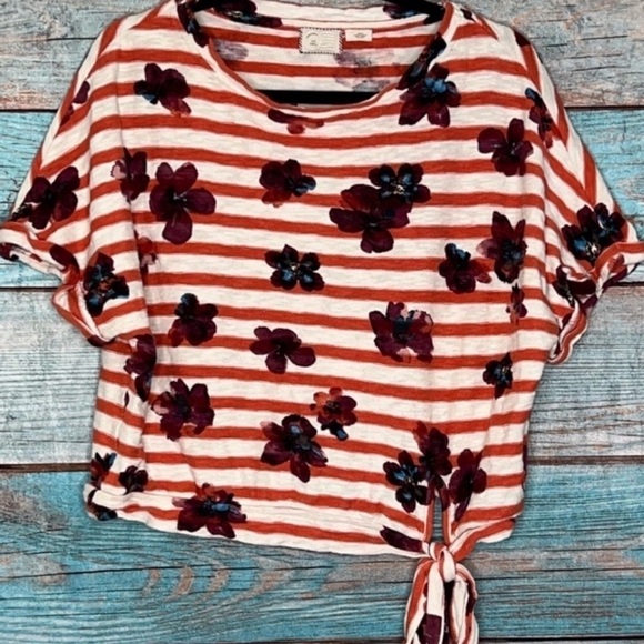 Anthropologie Red and White Striped Floral Top - Picture 2 of 11